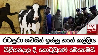 රටපුරා ගවයින් ඉස්සූ හතේ කල්ලිය... පිළියන්දල දී කොටුවුණේ මෙහෙමයි