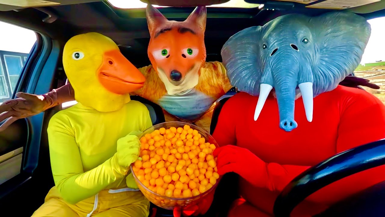 Elephant Surprises Rubber Ducky, Police with Car Ride Chase