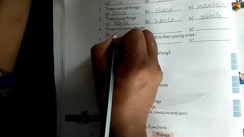 Class-3rd/Science/Chapter-1/Things Around Us/Exercise/By-Kishwar Miss