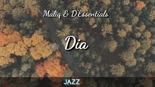 Dia (lirik) Lagu 🇮🇩 Maliq & D'essentials