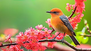 Soothing music for nerves🌿 healing music for the heart and blood vessels, relaxation, music for soul