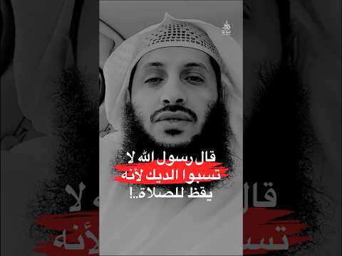 قال النبي لا تسبوا الديك لانه يقظ للصلاة حديث