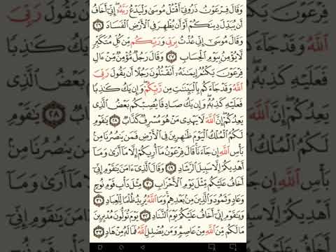 ماهر المعيقلي سورة غافر مكتوبة صفحة 470 مصحف المدينة المنورة جودة عالية