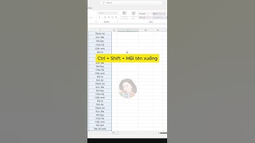 Phân loại và đếm số lượng nhanh trong Excel - Tâm Tin Học