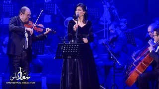 Compilation - Souad Massi Orchestral Selection [Live in Cairo 2018] سعاد ماسي مع سينكوب اوركسترا