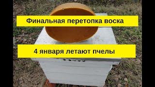 Финальная перетопка и очистка воска перед сдачей.  4 января 2020,  а пчелы летают.