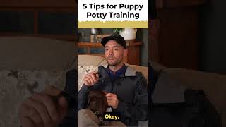 #1 Tip For Puppy Potty Training