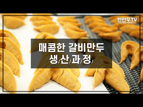 [만두생산과정] 매콤한 갈비만두 생산과정 //Eng Sub
