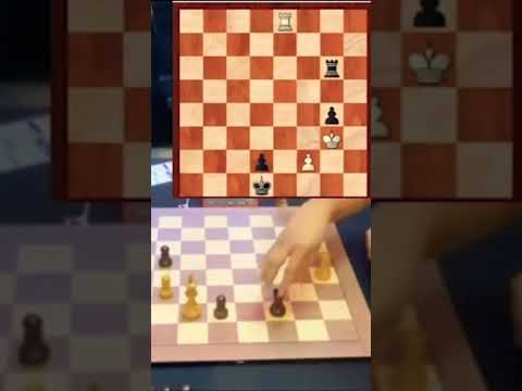 Superchess 2024 -