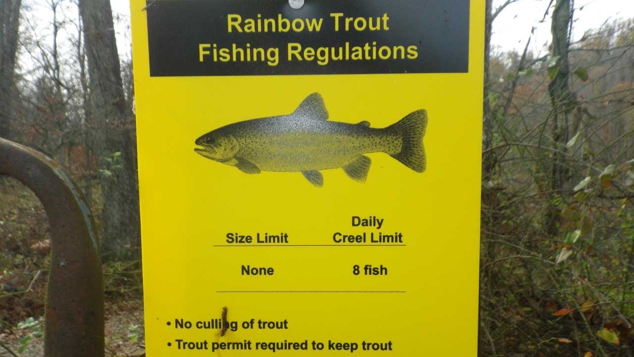 Stocked Trout Love these Rapalas! Catch and Cook! YouTube