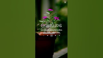 تلاوة من سورة الأعراف🌴🌴