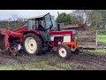 International hydro 84 superfaun potato harvester