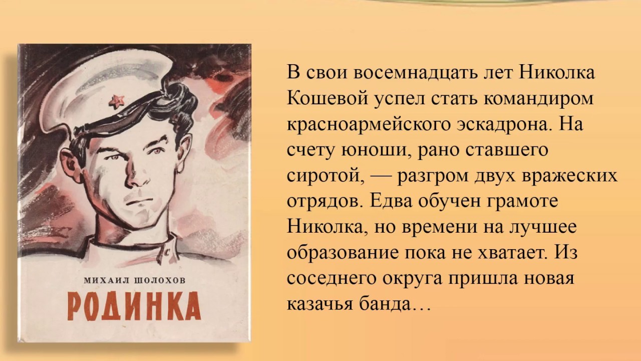 Родинка книга краткое содержание