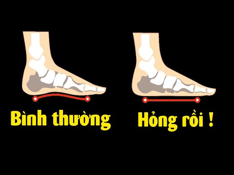 Đây là video
