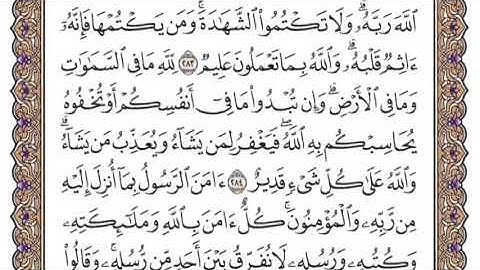 سورة البقرة الشيخ ياسر الدوسري صفحة ٤٩