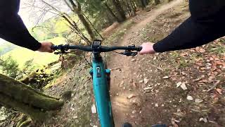 Bremberg + Endless Trees - EMTB Test