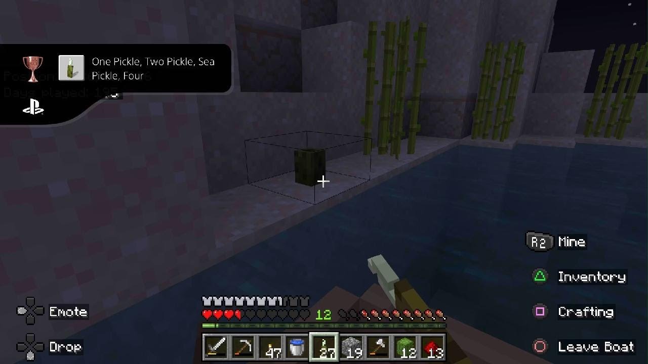 Minecraft_20250119213650