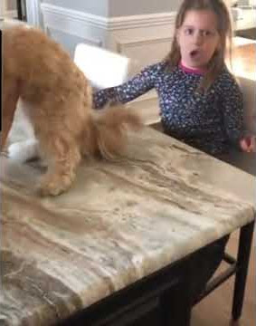 When adults prank kids 😂😂 #shorts