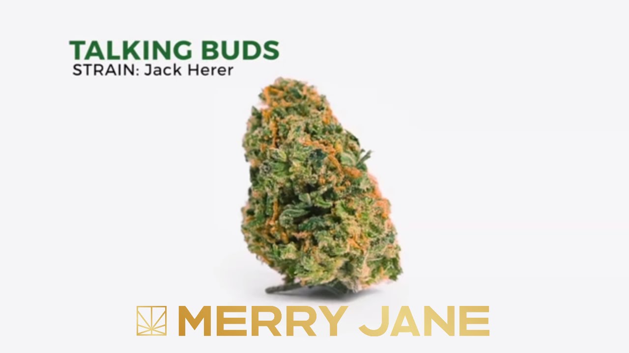 Talking Buds: Jack Herer