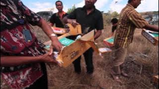 Pelepasan Branjangan Jawa