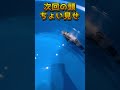 次回販売の頭ちょい見せ🔥