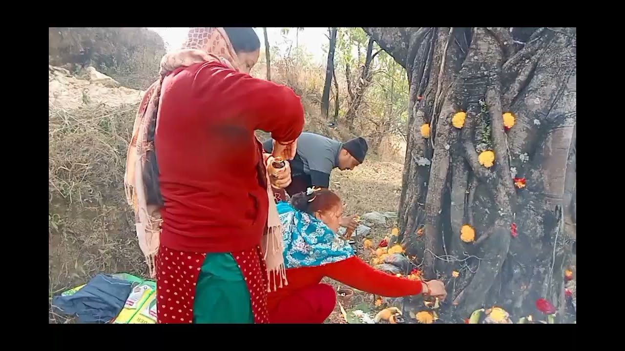 आज समस्त ग्राम वासियों ने की पीपल के पेड़ पर शनि पूजा और बनाई माग की खिचड़ी 🙏🙏🌺🌺