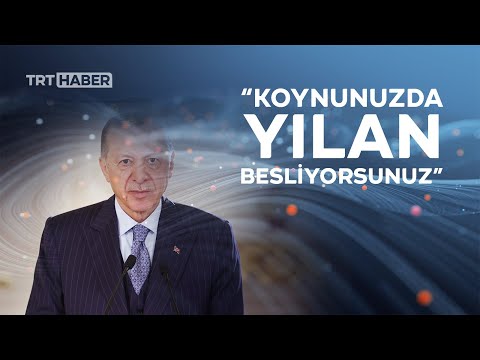 Cumhurbaşkanı Erdoğan Avrupa'yı teröre karşı uyarmıştı