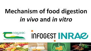 2nd INFOGEST webinar: Overview of gastrointestinal food digestion & static INFOGEST in vitro method screenshot 1