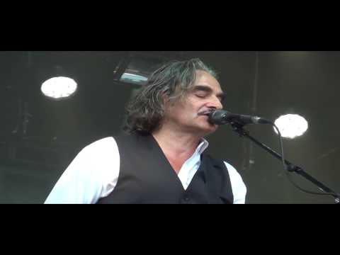 stephane-eicher---pas-d'ami-comme-toi-(franco-spa-2013)