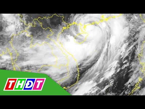 Video Bão số 1 bắt đầu giảm cấp | THDT - youtube
