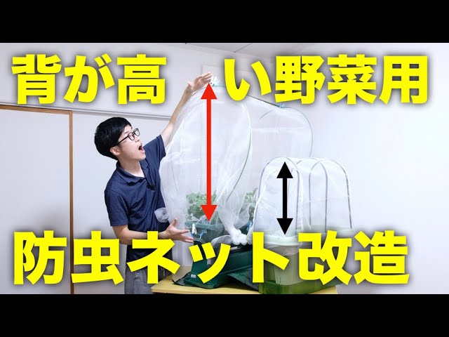 背が高い野菜を虫から守るプランター用防虫ネットの作り方 ブロッコリー 芽キャベツ Youtube