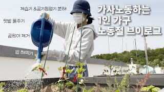 [브이로그] 노동절 회사는 안 가지만 가사 노동이 한 바가지 | 직장인 브이로그 | 제습기&공청기 분해 | 텃밭 | 벽지 곰팡이 제거 | 자취