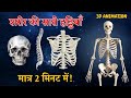 Want to Know the Secrets of the Human Skeletal System in Just 3 Minutes