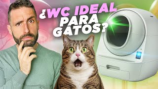 ALL types of CAT LITTER BOXES 🐱🚽 Which is THE BEST?