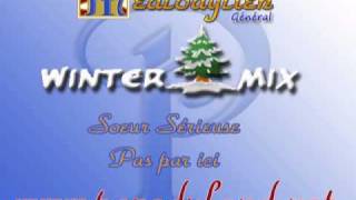 Winter Mix Medley De Parodies By Parodyland