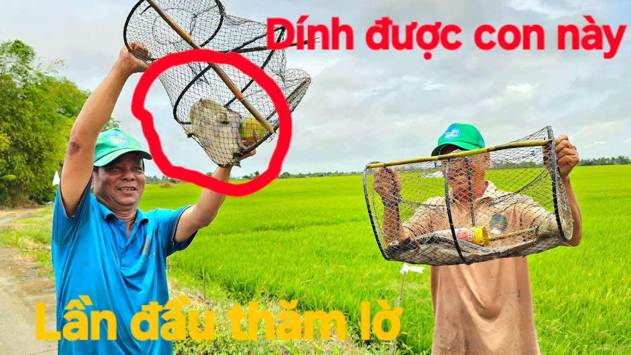 71 | Lần đầu thăm lờ lại dính được con này