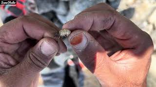 How To Fishing In Deosai My First Vlog Trout Fishing Adventure