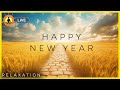 🔴 Relaxing Music 24/7, Calming Background Music, Meditation Reflection Music, New Year&#39;s Eve Music