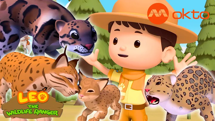 Different WILD CATS from around the WORLD! ❄️🌳🏜️ | Leo Compilation | @mediacorpokto