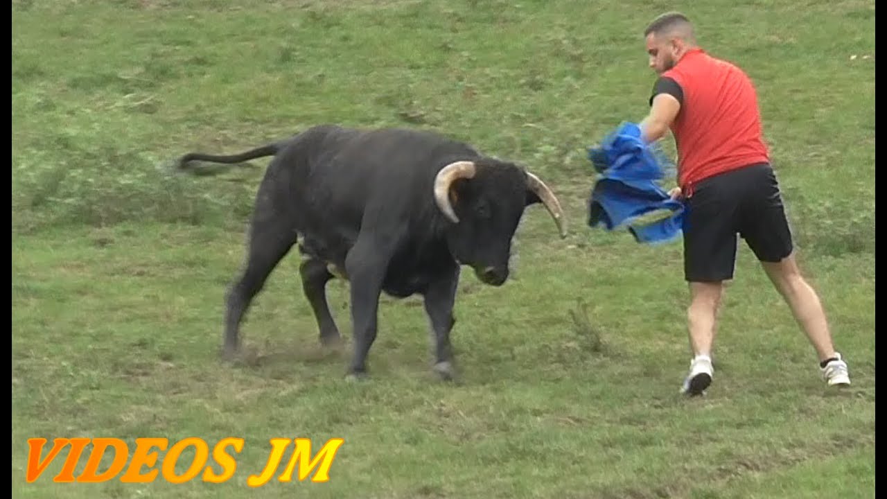 Soria-Lavalenguas 2023..¡12 Novillos al Campo.!!!!!