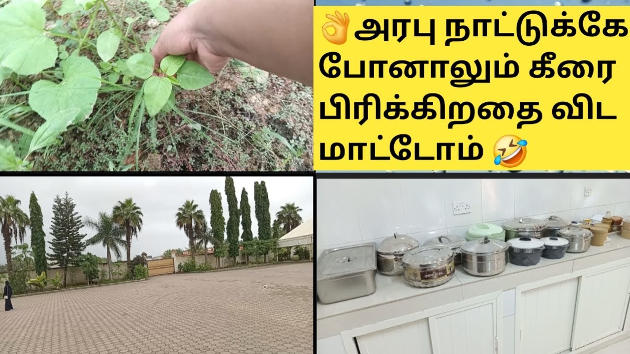 🥰ஓமன் நாட்டில் இப்படித்தான் இருப்பாங்க 