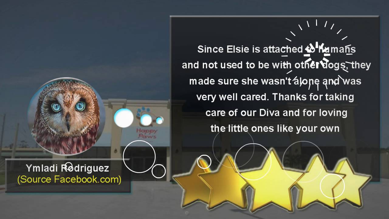 Happy Paws Pet Resort REVIEWS Pet Day Care Pet Training Orlando