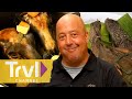 Wildest foods from season 3  bizarre foods with andrew zimmern  travel channel