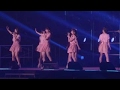 つばきファクトリー『気高く咲き誇れ!』(Camellia Factory [Blossom With Elegance!]) (MV)