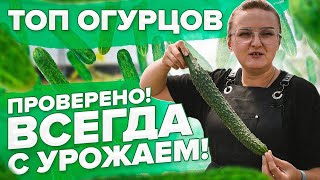 ТОП ОГУРЦОВ ПРОВЕРЕННЫХ ВРЕМЕНЕМ и ДАЧНИКАМИ. ЕЩЕ РАЗ О ПУСТОЦВЕТАХ