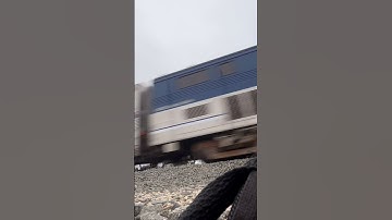 Amtrak train #774 deadheading to Los Angeles after 90215 broke down #railfanner #amtrak #ventura