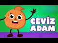 Ceviz Adam Şip Şap Şop (Yeni Animasyon) 👶 Neşeli Bebek Şarkısı