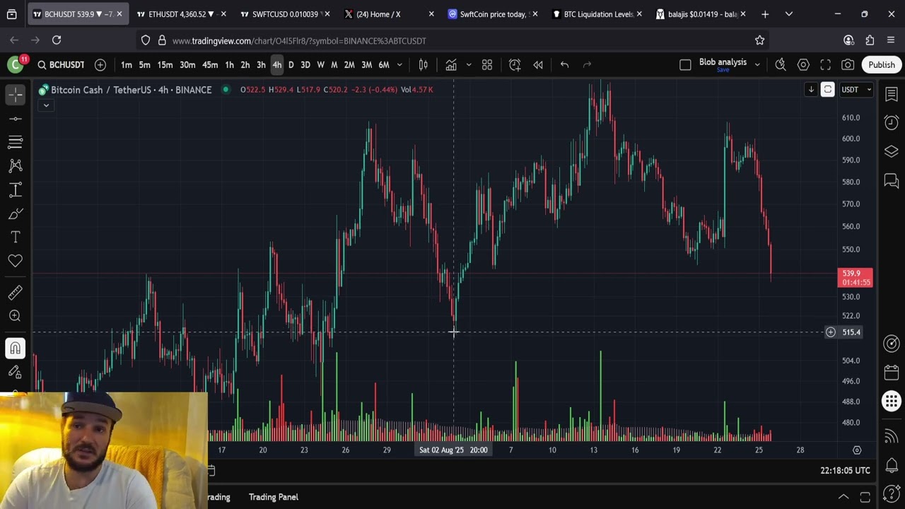 Bitcoin Cash BCH Presents INCREDIBLE Opportunity