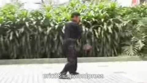 Black Tiger Fist..wmv