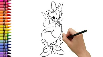 How to draw daisy duck | Drawing and Colouring | Drawing for Kid